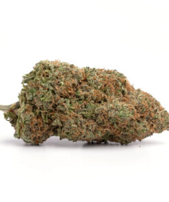 Juicy Fruit