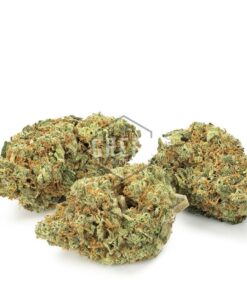 Island Sweet Skunk