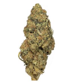 Recon - AA+ - $65/Oz
