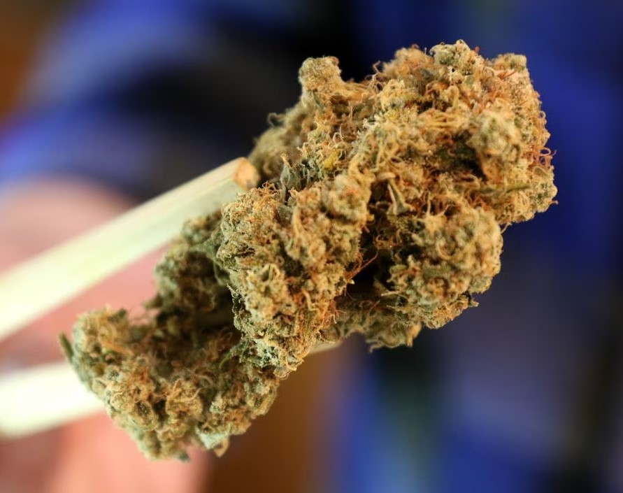Best Online Weed Delivery in Toronto