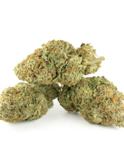 Jack Herer