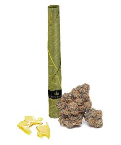 Shatter Blunts