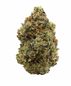 Ghost Fire Pink - Indica