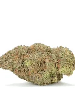 Gelato