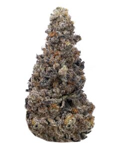 Mandarin Cookies - AAAA+