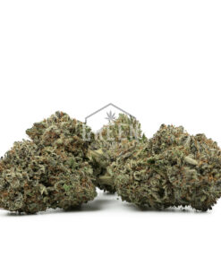 Kosher Kush