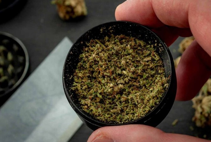 Best Online Weed Delivery in Toronto