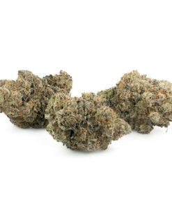 Meat Breath