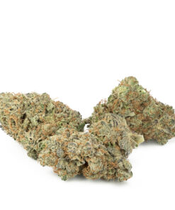 Lemon Skunk