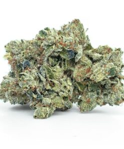 OG Shark - AAA+