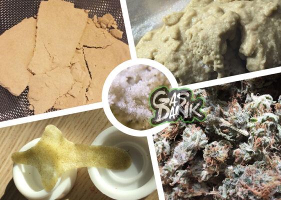 Best Hash Online Canada