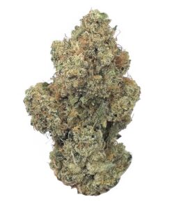 Scotties Cookies - AAAA+