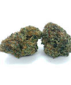 Sundae Driver - AAA+
