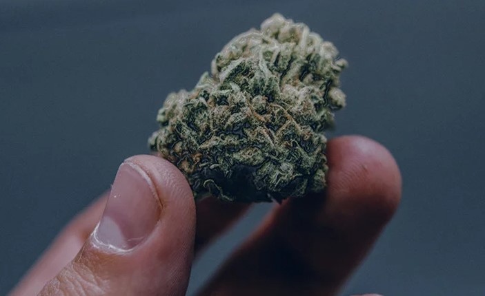 Best Online Cannabis Store