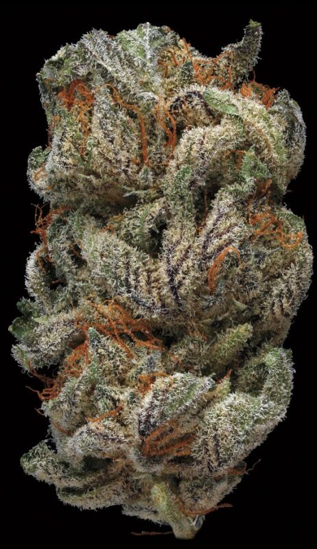 Best Online Weed Store