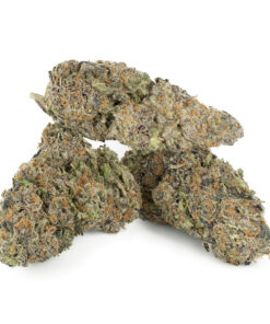 LSD by Barney’s Farm