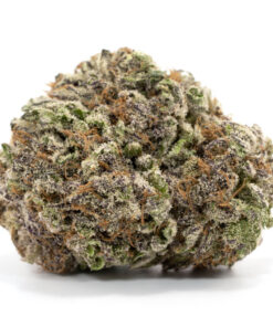 Purps Mendocino