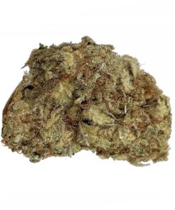 Sour Cookies - AA+ - $65/Oz