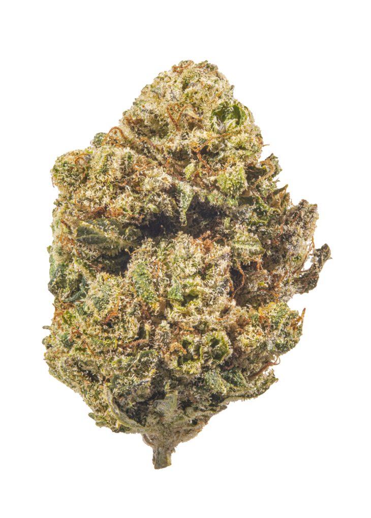 Purple k