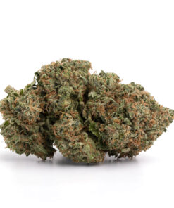 Bubba Kush pré-98