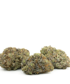 Key Lime Pie