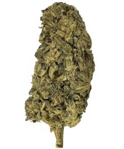 Blueberry Pie - AA+ - $70/Oz