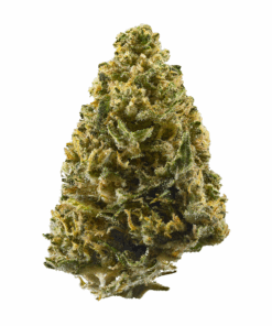Northern lights
