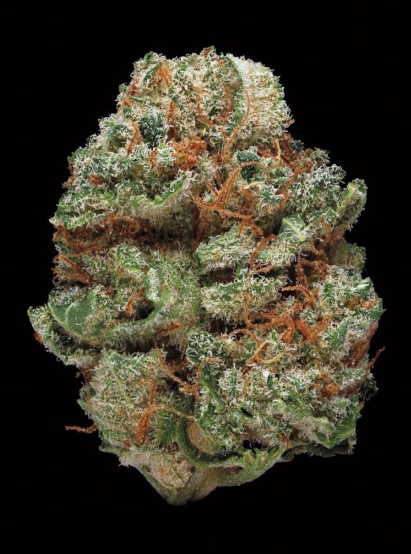 Best Online Cannabis Store