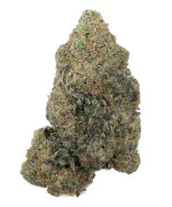 Gelato  - AAA+