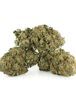 King Louis XIII