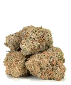 Golden Goat
