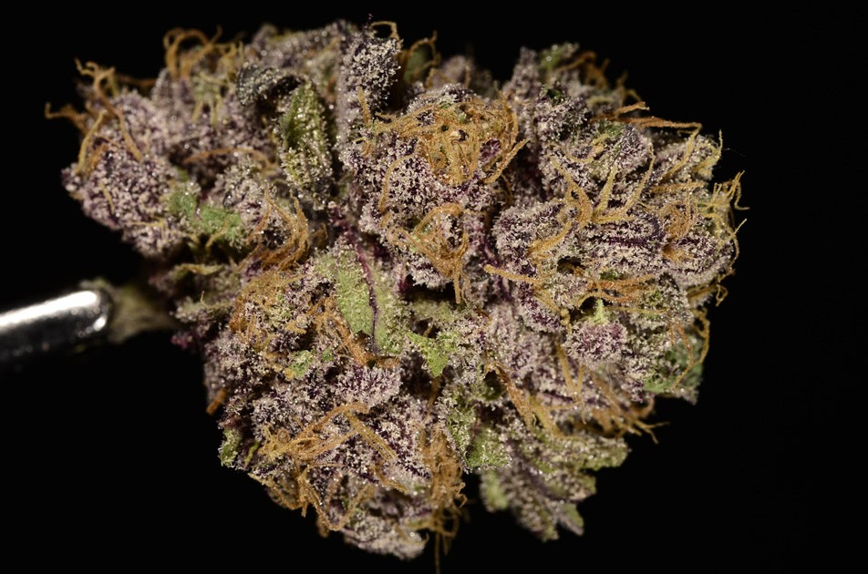 Best Online Cannabis Store
