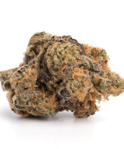 Purple Voodoo
