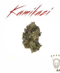 Purple Pink Kush - AA+ - Oz Deal