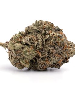 Jet Fuel