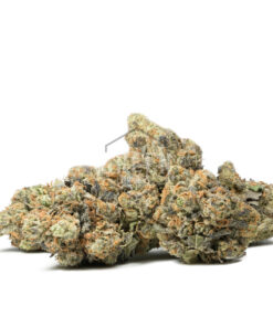 Mendo Breath (Smalls)