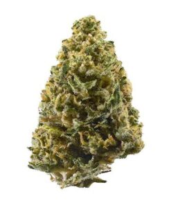 Northern Lights Indica