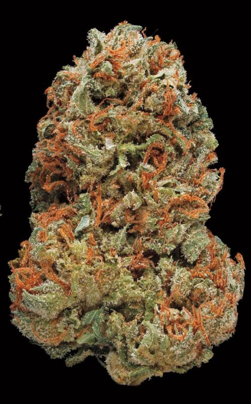 Best Online Weed Store