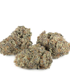 Jelly Donut by Pluto Craft Cannabis