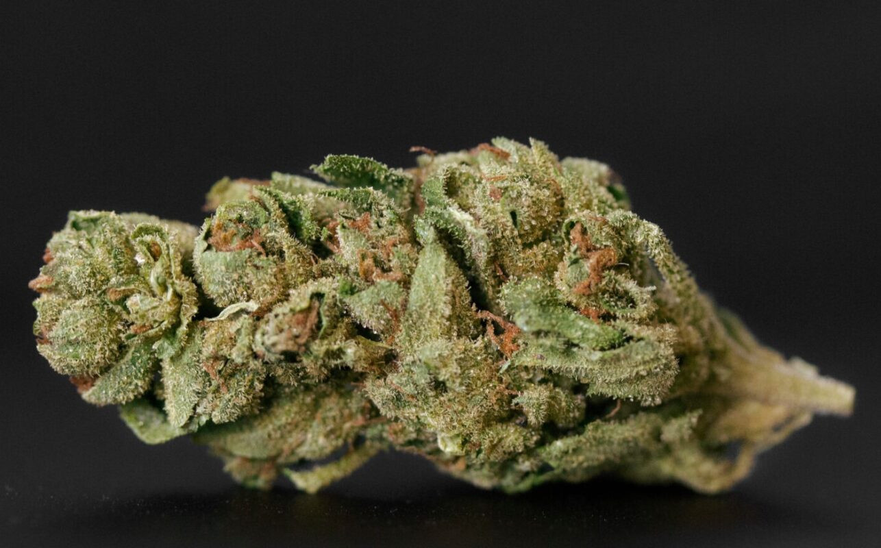 Best Online Weed Store