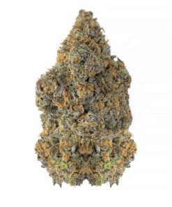 Lemon Skunk - AAAA
