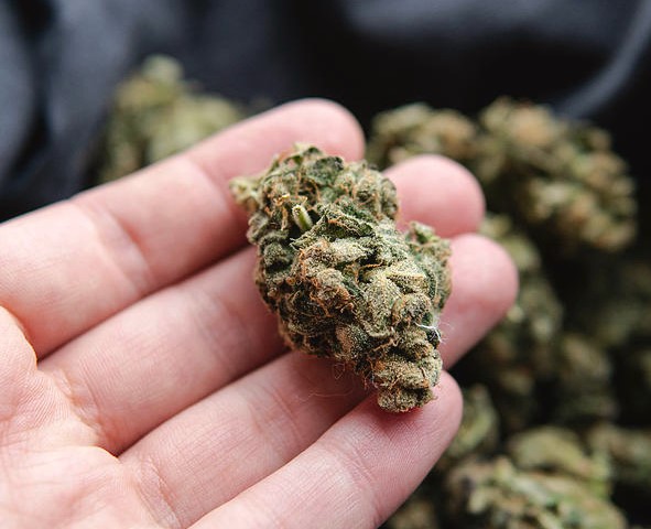 Best Hunny Pot Cannabis