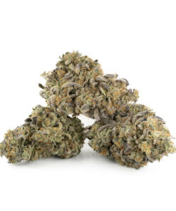 Love Potion #1