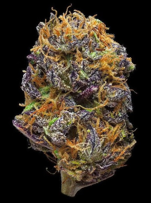 Best Online Cannabis Store