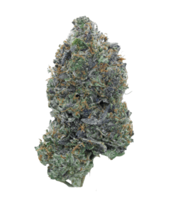 Island Pink LSO - Indica