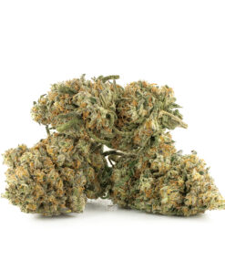 Cherry Pie