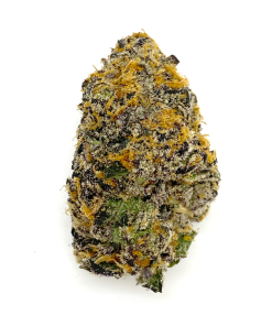 buy ELECTRIC PURP – INDICA