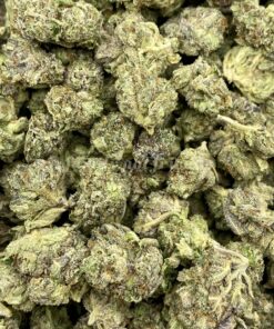 Gelato