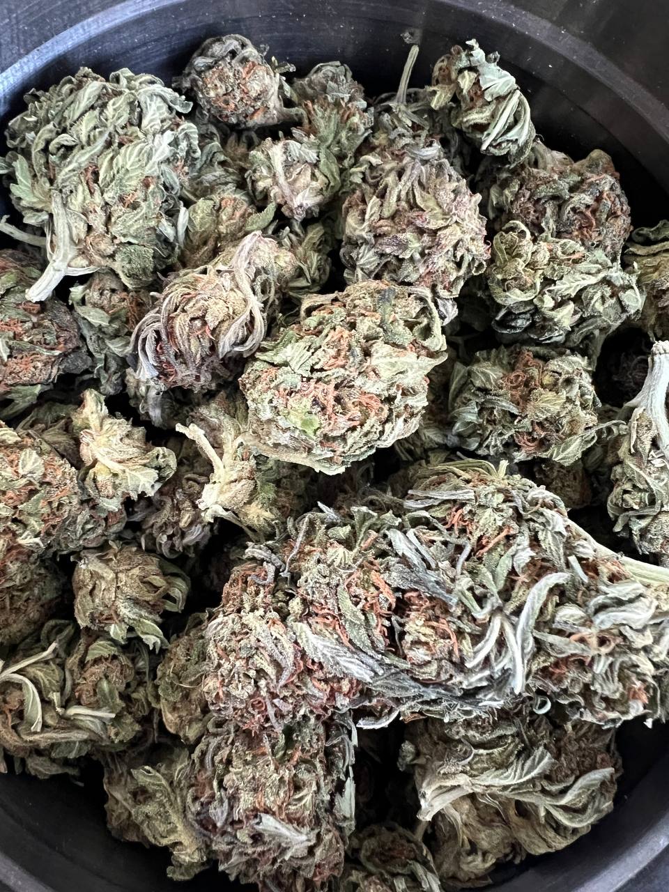 King Kush AA - Hybrid