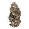 Goudaberry - AAAA+